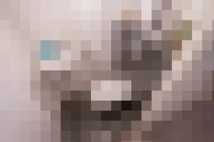 Laan van Sion 347 Rijswijk thumbnail 8