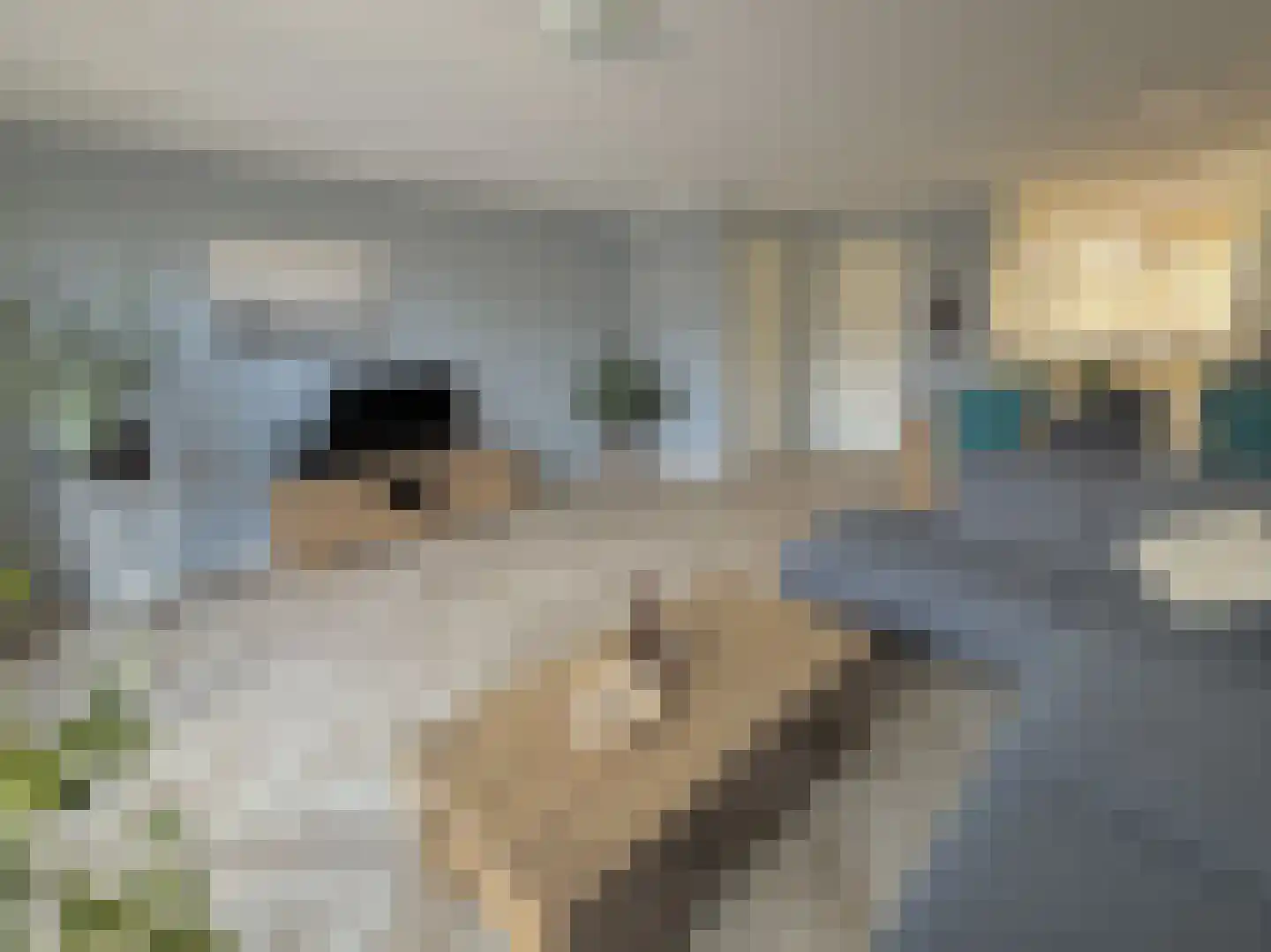 Laan van Sion 373 Rijswijk