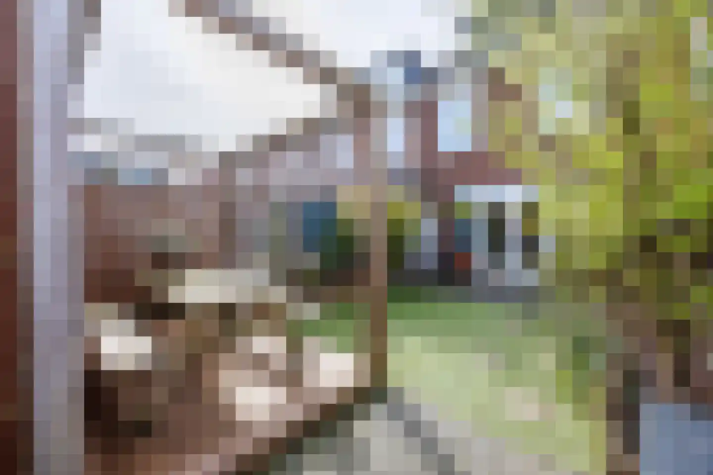 Laan van Sion 381 Rijswijk thumbnail 16
