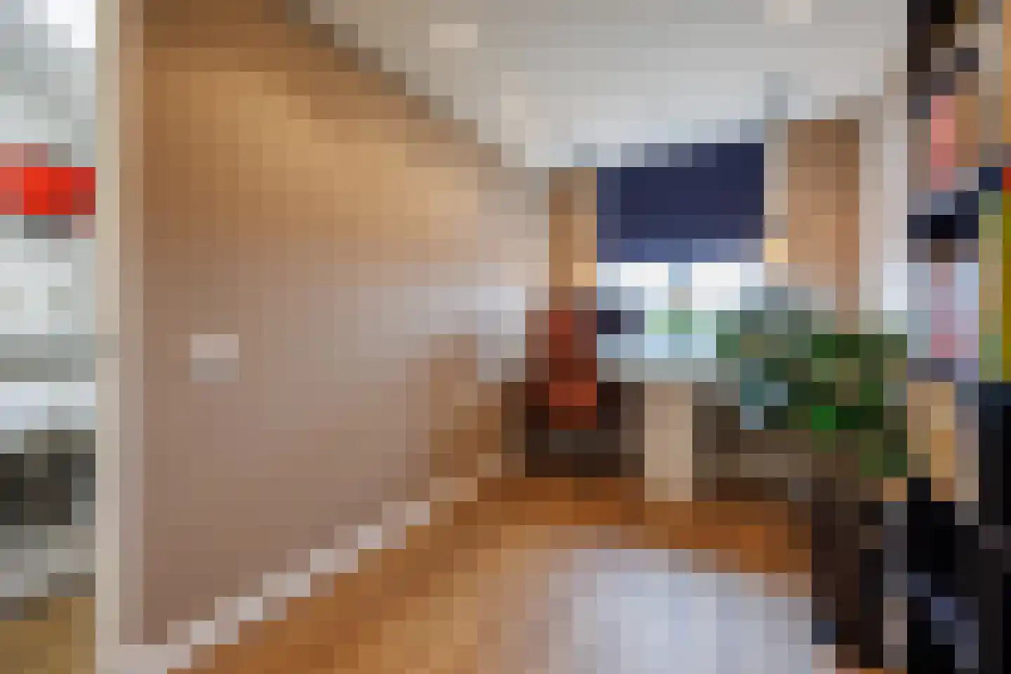 Laan van Sion 381 Rijswijk thumbnail 37