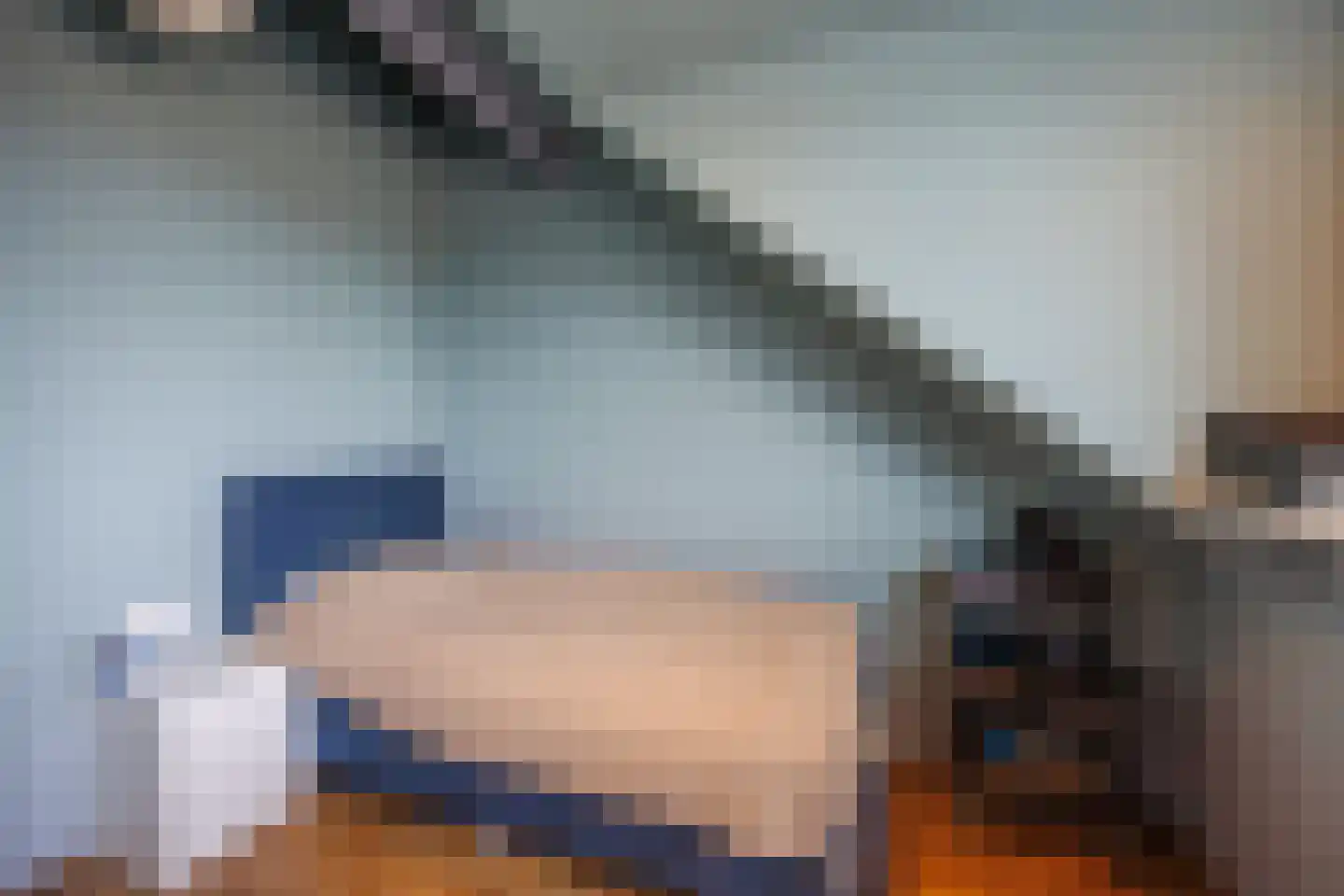 Laan van Sion 381 Rijswijk thumbnail 39