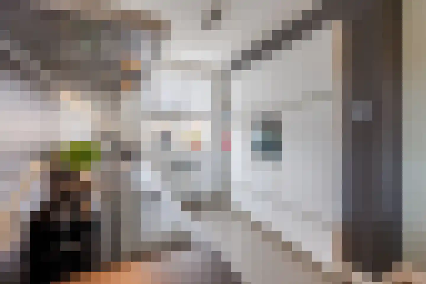 Laan van Sion 381 Rijswijk thumbnail 9