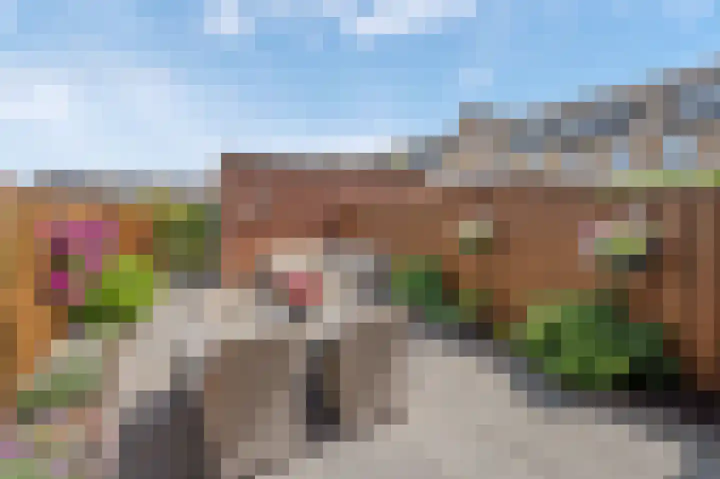 Laan van Sion 387 Rijswijk thumbnail 14
