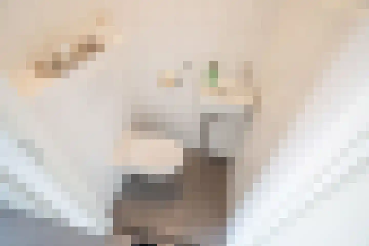 Laan van Sion 387 Rijswijk thumbnail 6