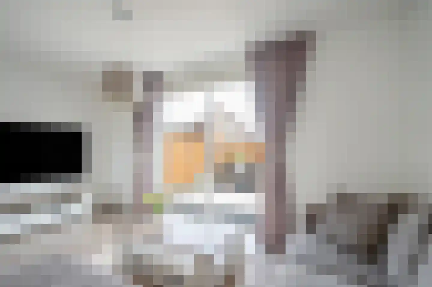 Laan van Sion 387 Rijswijk thumbnail 8