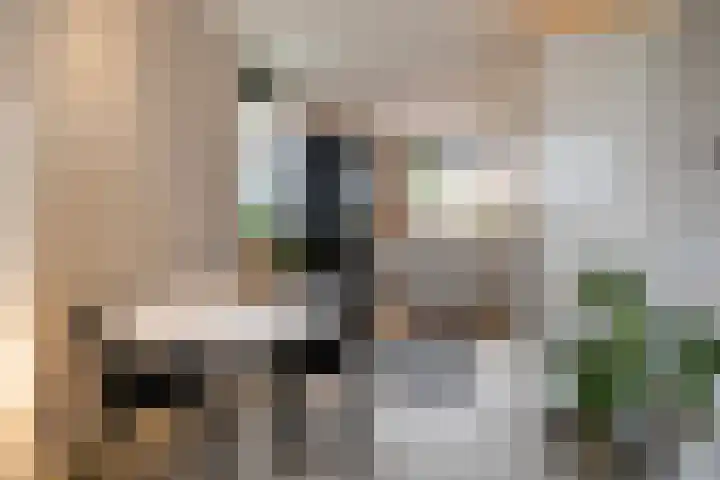 Laan van Sion 389 Rijswijk thumbnail 12