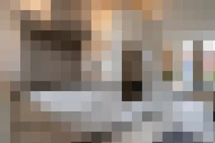 Laan van Sion 389 Rijswijk thumbnail 13