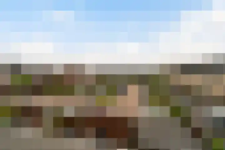 Laan van Sion 389 Rijswijk thumbnail 24