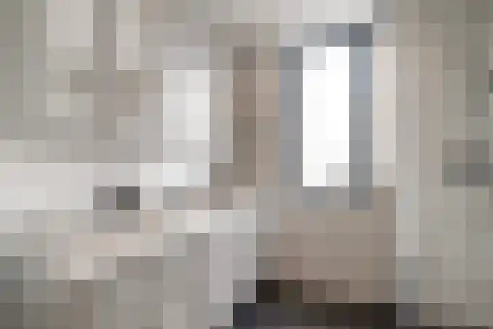 Laan van Sion 389 Rijswijk thumbnail 26
