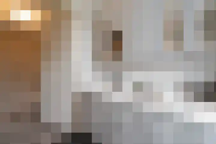 Laan van Sion 389 Rijswijk thumbnail 28