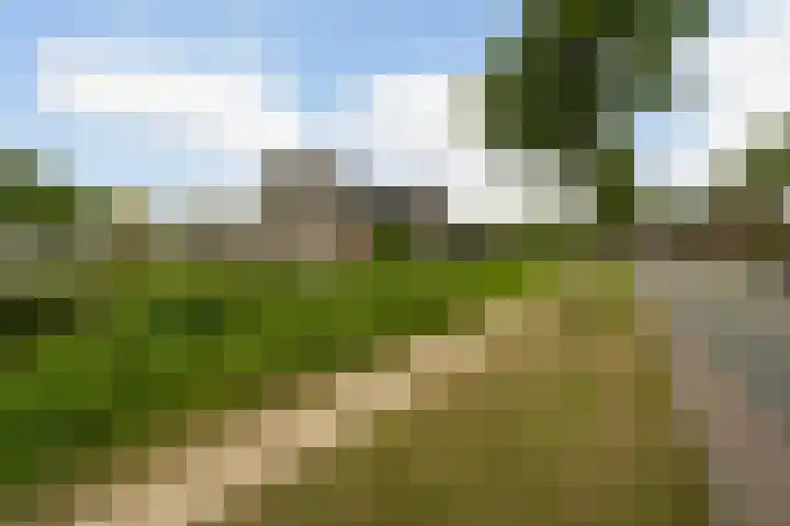 Laan van Sion 389 Rijswijk thumbnail 35