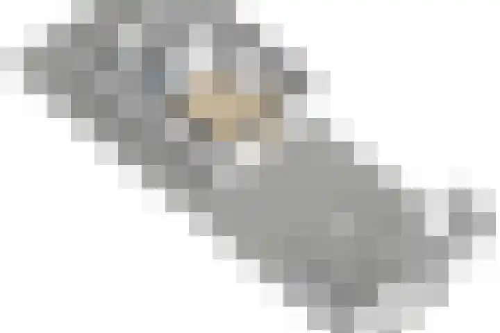 Laan van Sion 389 Rijswijk thumbnail 48