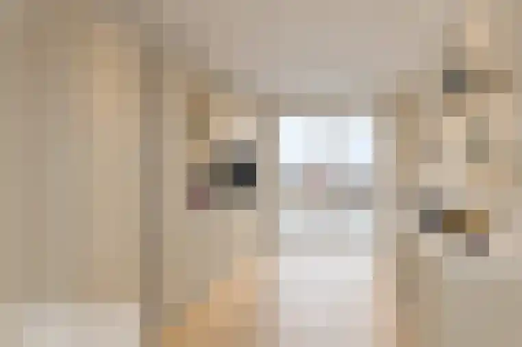 Laan van SIZO 12 Hillegom thumbnail 17