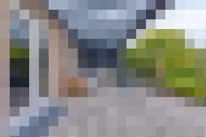 Laan van Snelrewaard 8 Oudewater thumbnail 13