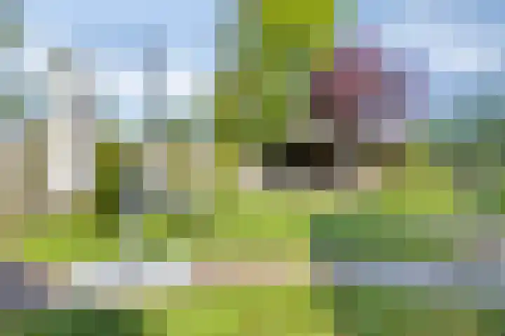 Laan van Snelrewaard 8 Oudewater thumbnail 14