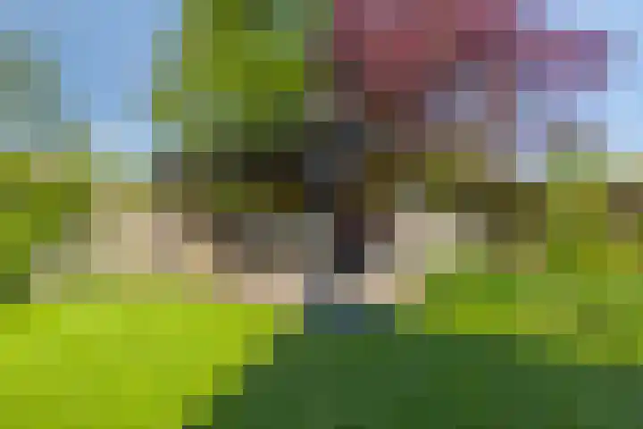 Laan van Snelrewaard 8 Oudewater thumbnail 15