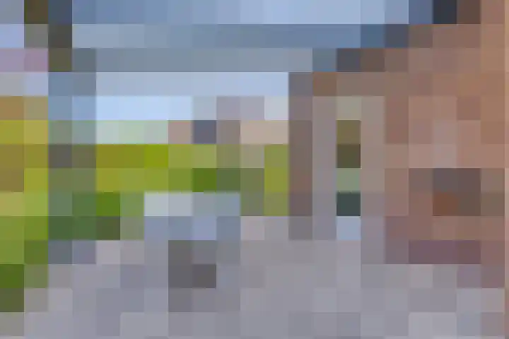 Laan van Snelrewaard 8 Oudewater thumbnail 18