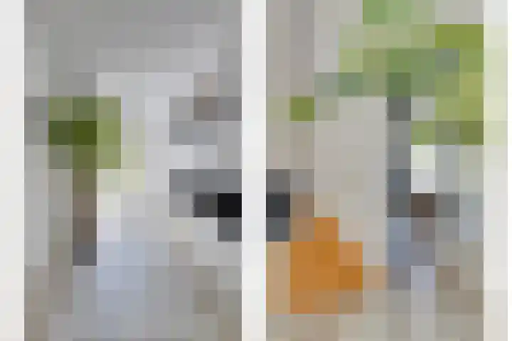 Laan van Snelrewaard 8 Oudewater thumbnail 19
