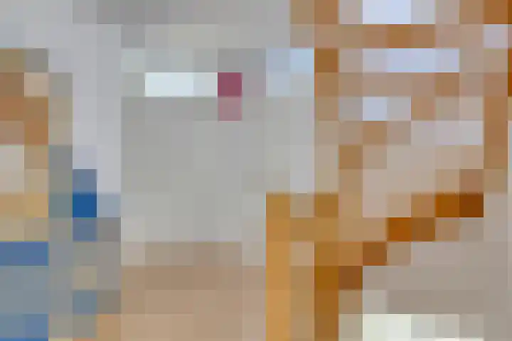 Laan van Snelrewaard 8 Oudewater thumbnail 20