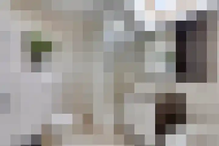 Laan van Snelrewaard 8 Oudewater thumbnail 24