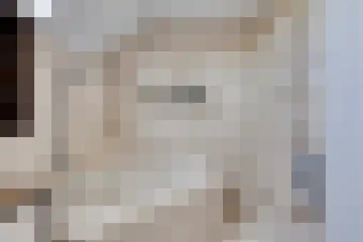 Laan van Snelrewaard 8 Oudewater thumbnail 25