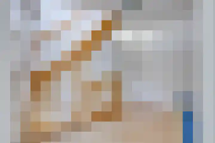 Laan van Snelrewaard 8 Oudewater thumbnail 28