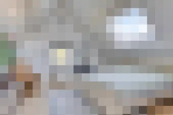 Laan van Snelrewaard 8 Oudewater thumbnail 29