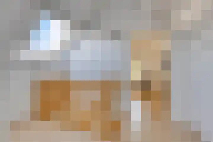 Laan van Snelrewaard 8 Oudewater thumbnail 30