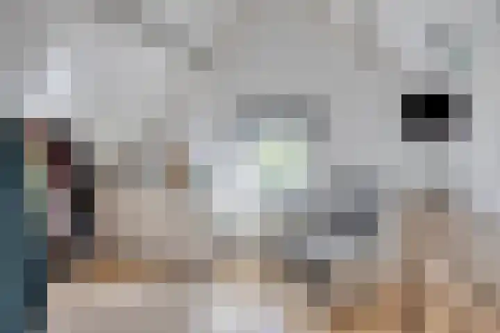 Laan van Snelrewaard 8 Oudewater thumbnail 31