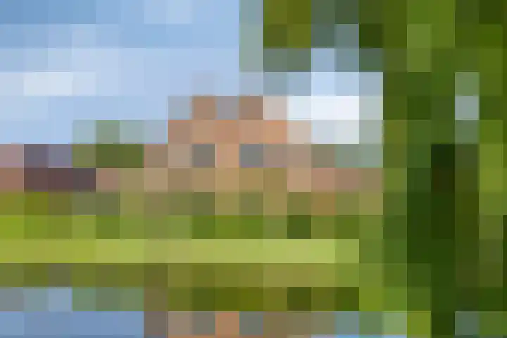 Laan van Snelrewaard 8 Oudewater thumbnail 32