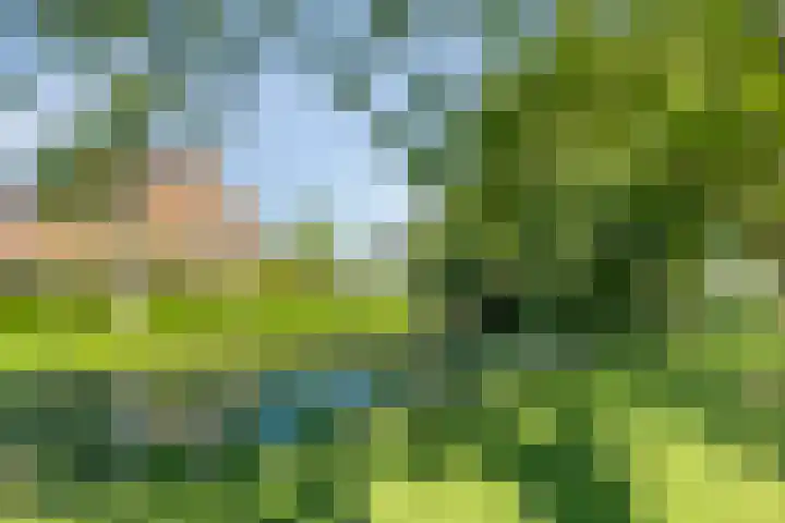 Laan van Snelrewaard 8 Oudewater thumbnail 33