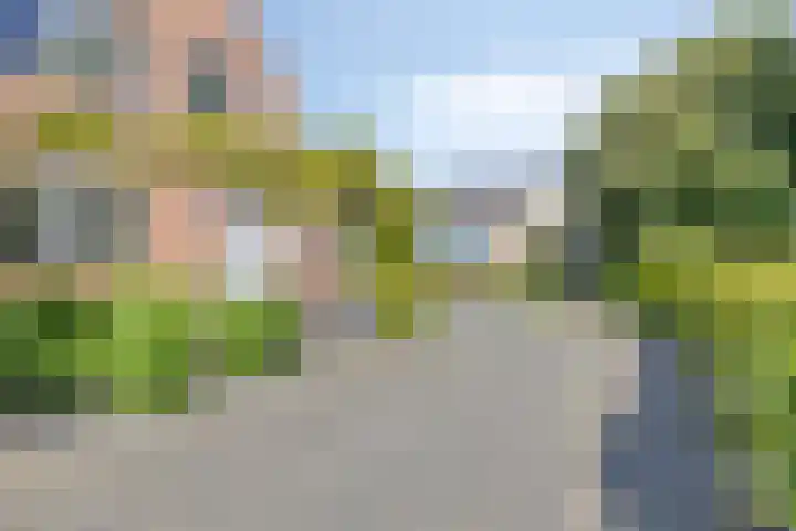 Laan van Snelrewaard 8 Oudewater thumbnail 34