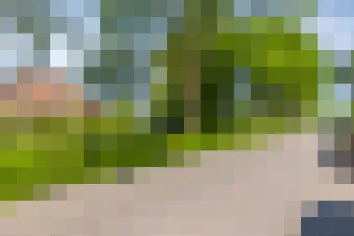 Laan van Snelrewaard 8 Oudewater thumbnail 36