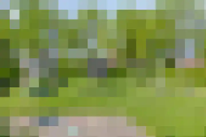 Laan van Snelrewaard 8 Oudewater thumbnail 37