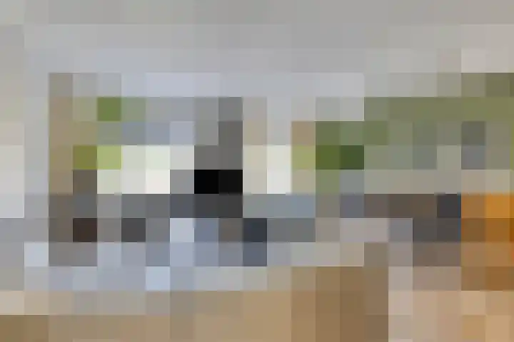Laan van Snelrewaard 8 Oudewater thumbnail 4