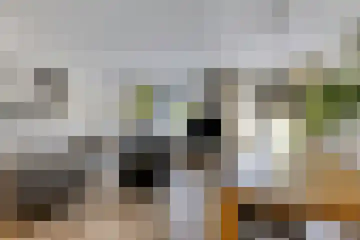 Laan van Snelrewaard 8 Oudewater thumbnail 5