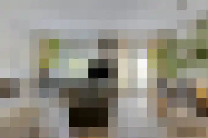 Laan van Snelrewaard 8 Oudewater thumbnail 6