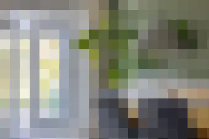 Laan van Snelrewaard 8 Oudewater thumbnail 7