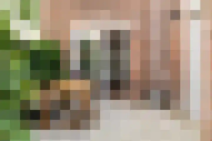 Laan van Soestbergen 1 Utrecht thumbnail 17