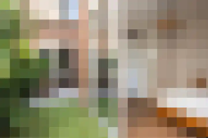 Laan van Soestbergen 1 Utrecht thumbnail 20