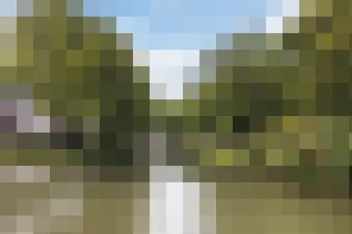 Laan van Soestbergen 1 Utrecht thumbnail 29