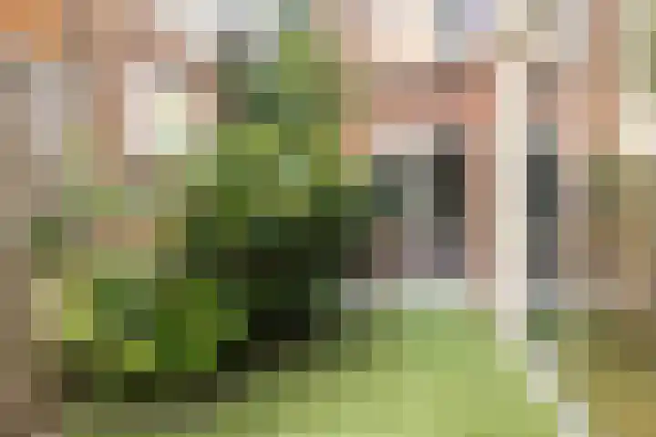 Laan van Soestbergen 1 Utrecht thumbnail 5