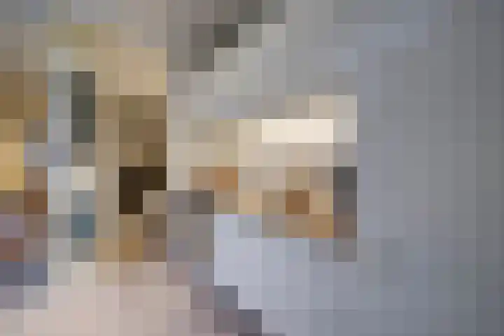 Laan van Soestbergen 15 Utrecht thumbnail 17