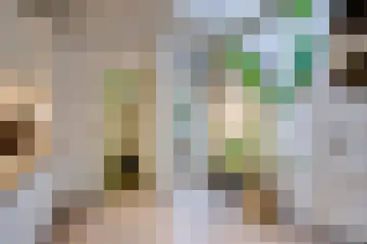 Laan van Soestbergen 15 Utrecht thumbnail 19