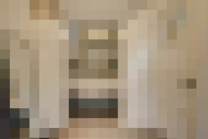 Laan van Soestbergen 15 Utrecht thumbnail 25