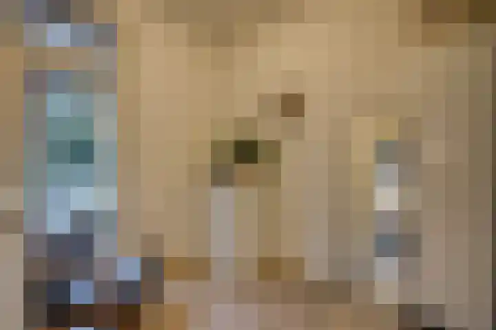 Laan van Soestbergen 15 Utrecht thumbnail 26
