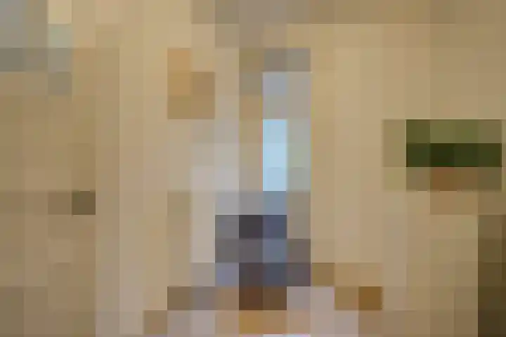 Laan van Soestbergen 15 Utrecht thumbnail 27