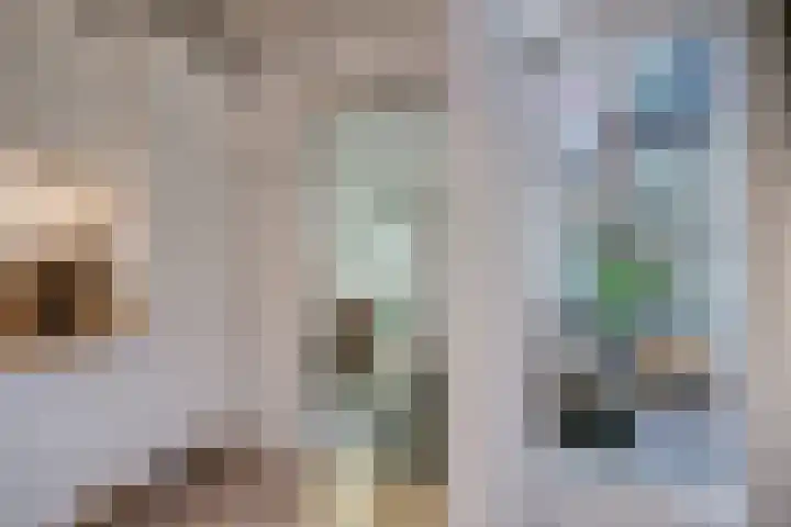 Laan van Soestbergen 15 Utrecht thumbnail 28