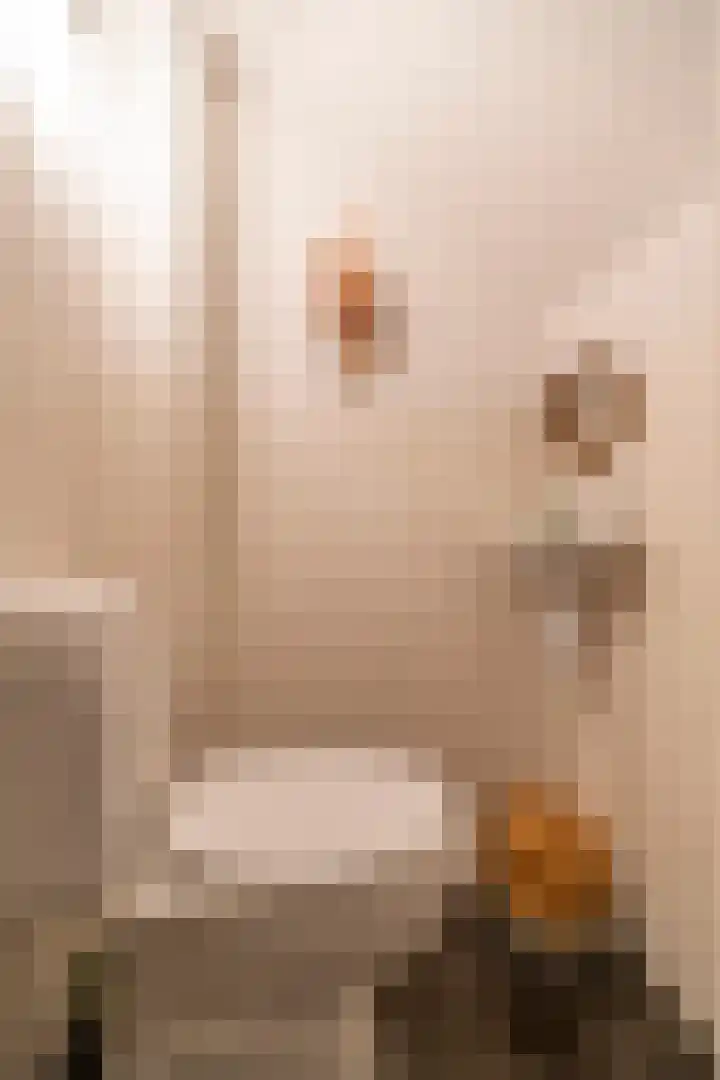 Laan van Soestbergen 15 Utrecht thumbnail 32