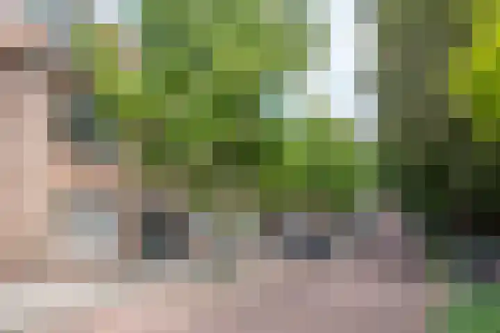 Laan van Soestbergen 15 Utrecht thumbnail 33